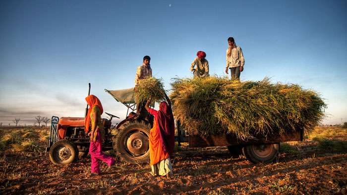 AIR Worldwide releases multi-peril crop insurance model for India