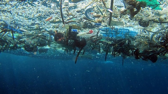 Southeast Asia: Insurers should exclude fossil fuel projects in Coral triangle