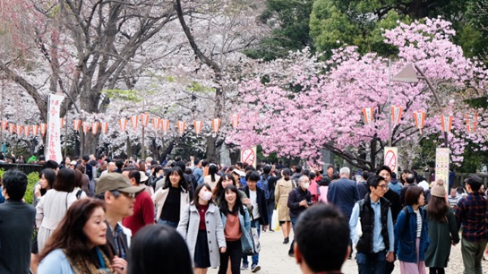 日本生命の保険引受利益は回復基調