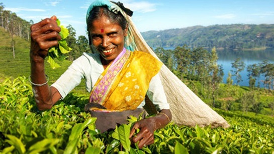 Conflict monitor: Sri Lanka among worst impacted in APAC by Middle East war