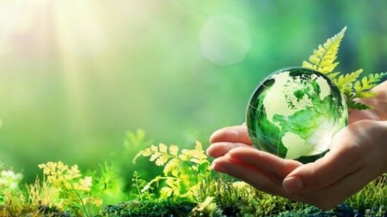 Regulator steps up green finance drive - Vimarsana News
