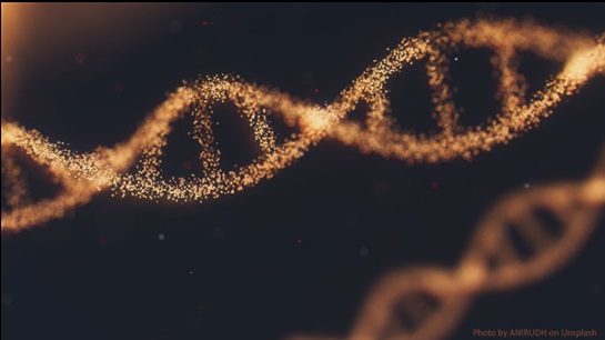 Global: Tokio Marine Kiln appoints new Underwriter to life sciences team