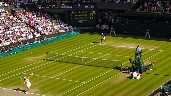 Wimbledon insurance sales