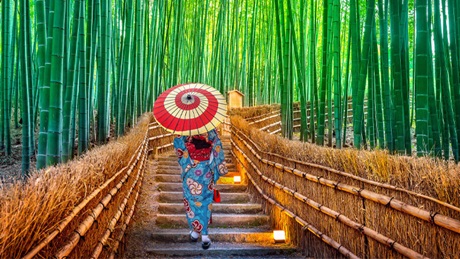 Magazine article aboutJapan-s-regulatory-evolution-Three-decades-of-coverage-by-AIR-1996-2022- 